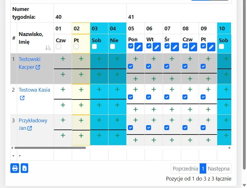 Grafik pracy z zaznaczonymi dniami roboczymi i pracownikami do zbiorczego dodawania